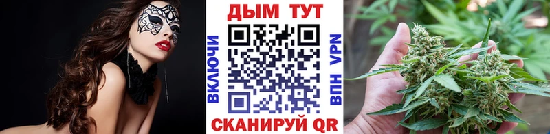 наркошоп  darknet наркотические препараты  Конопля семена  Галич 